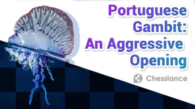 Portuguese Gambit: Opening Guide for White & Black